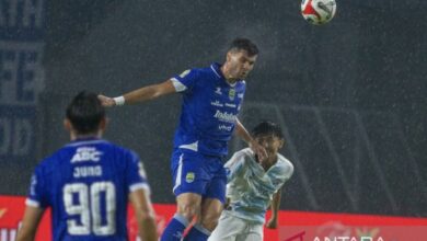 Persib Bandung perpanjang kontrak Julio Cesar