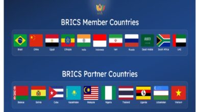 Iran upayakan gabung keanggotaan Bank Pembangunan BRICS