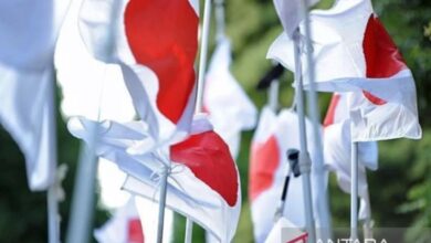 Negeri Sakura pertimbangkan ODA untuk tingkatkan pelabuhan perikanan RI