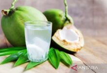 6 tanda tubuh kekurangan cairan pada saat cuaca panas