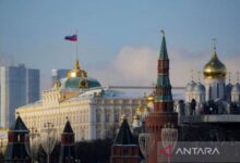 EU peringatkan pihak yang mana dimaksud abaikan ancaman Rusia usai kemenangan AfD
