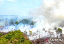 Kemlu: Konsekuensi kabut asap ditangani demi jaga hubungan ke kawasan