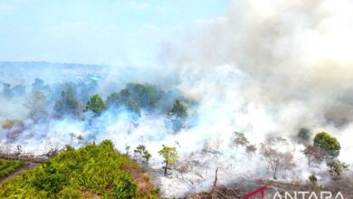 Kemlu: Konsekuensi kabut asap ditangani demi jaga hubungan ke kawasan