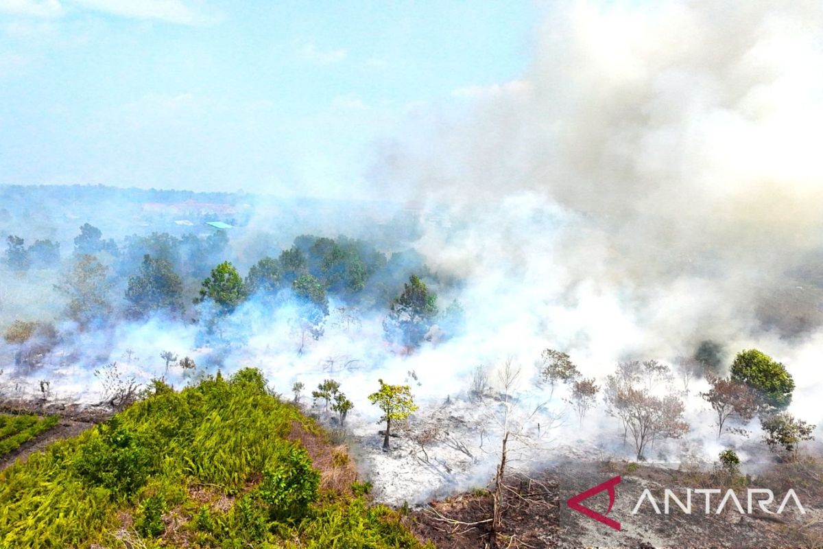 Kemlu: Konsekuensi kabut asap ditangani demi jaga hubungan ke kawasan