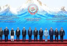 Xi: China setelah itu India dapat mewujudkan perkembangan dengan