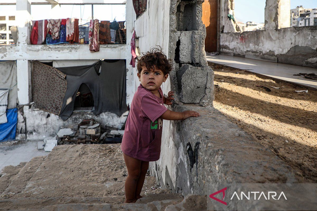 8 negara bersatu kecam pernyataan negeri negara Israel tentang pengusiran warga Kawasan Kawasan Gaza