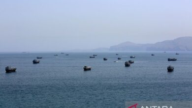 Pakar Turki: Jalur pipa Suriah tak mampu gantikan peran Hormuz