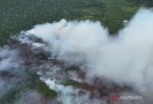 Rusia operasikan pesawat amfibi bantu padamkan karhutla dalam Turki