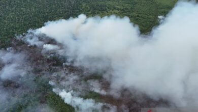 Rusia operasikan pesawat amfibi bantu padamkan karhutla dalam Turki
