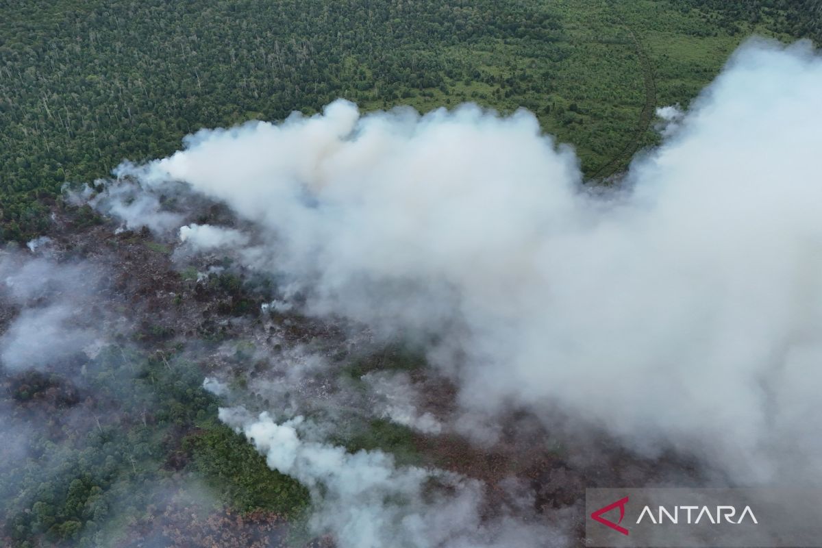 Rusia operasikan pesawat amfibi bantu padamkan karhutla dalam Turki