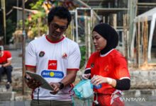 Berthdigna berlaga ke World Climbing Series Guiyang sebelum AG 2026
